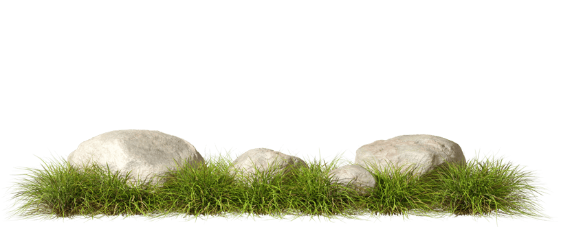 Greenery grass fields meadow row with rock composition cutout backgrounds 3d rendering png