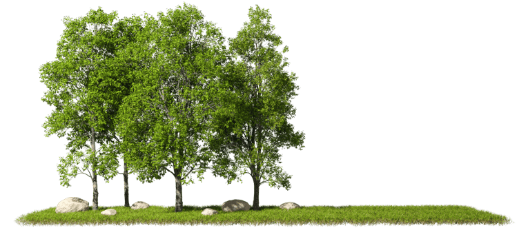 Landscaping jungle trees with copy-space cutout backgrounds 3d render png