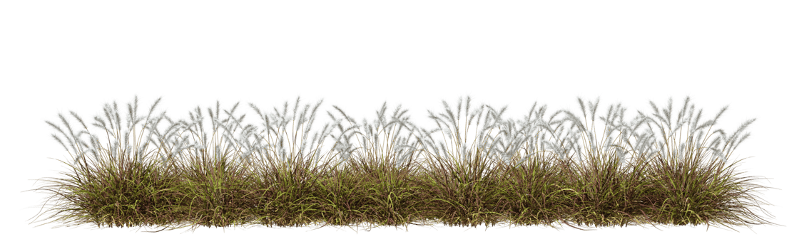 Nature prairie grass meadow horizontal row 3d rendering file png
