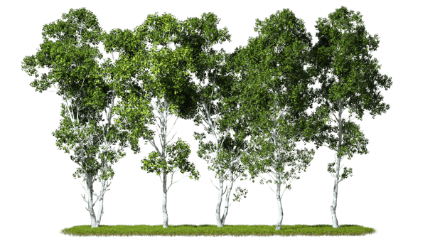 Green trees landscaping isolated on transparent backgrounds 3d render png