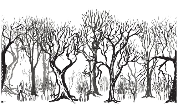 Hand drawn illustration in sketch style. Background with different silhouettes of trees and bushes without leaves Monochrome dense forest isolated on whiteHorizontal graphic seamless pattern. vector