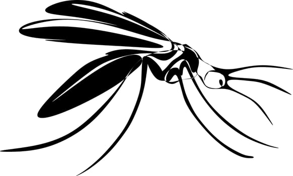 The illustrations and clipart. A black-and-white silhouette of a mosquito. vector