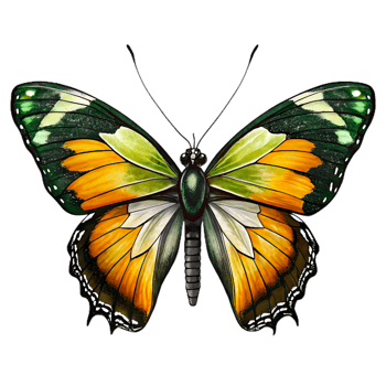 A Butterfly with Green and Orange Wings png