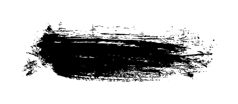 Black brush stroke on white background vector