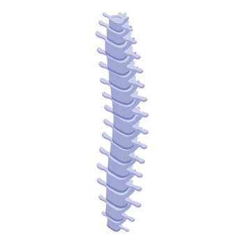 Illustration of human spine anatomy vector