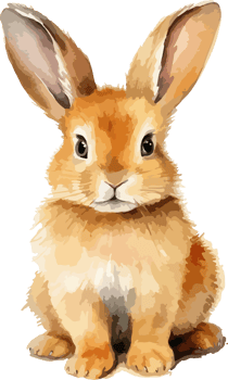 Curte rabbit clipart design illustration png