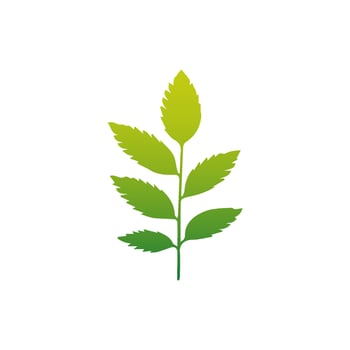 Green Tropical leaves isolated on white background. vector