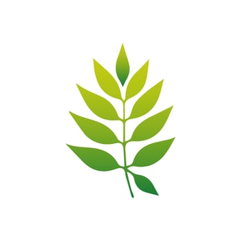 Green Tropical leaves isolated on white background. vector
