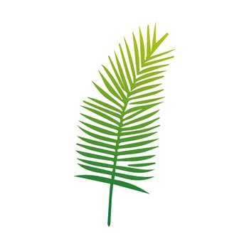 Green Tropical leaves isolated on white background. vector