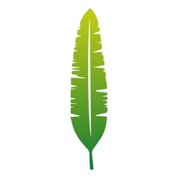Green Tropical leaves isolated on white background. vector