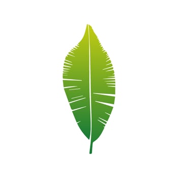 Green leaf icon green. Elements design for natural, eco, vegan, bio labels vector