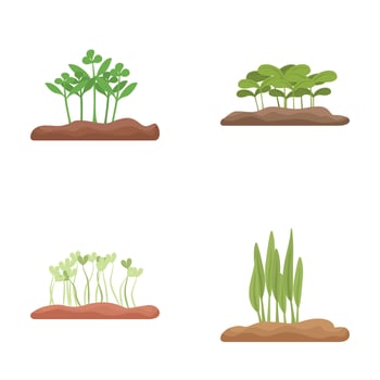 Set of plant growth stages illustrations vector