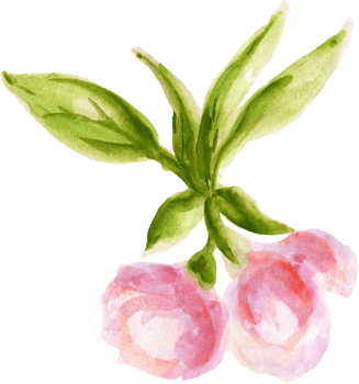 Watercolor eastern asian chinese japanese nature rich symbol png