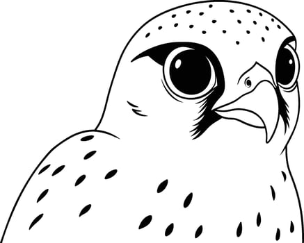 Realistic American Kestrel Birds coloring pages for kids coloring book vector