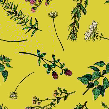 Wild plants abstract ornament. Hand drawn seamless pattern. Floral ornament in retro sketch style. Vintage botanical design for background, decor. vector