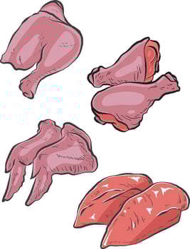 Part of chicken vector