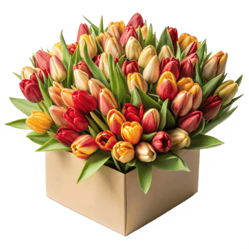 Colorful tulip arrangement in a square box on transparent background png