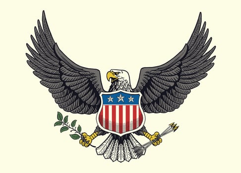 Vintage Hand Drawn Illustration Of American Bald Eagle vector
