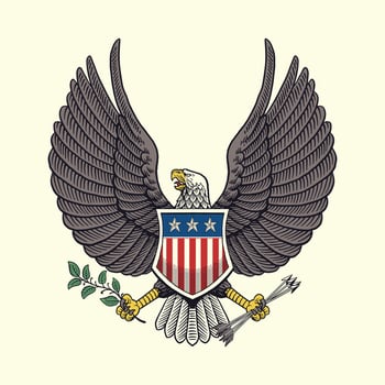 Vintage Hand Drawn Illustration of American Eagle Holding an Olive Branch And Arrows vector