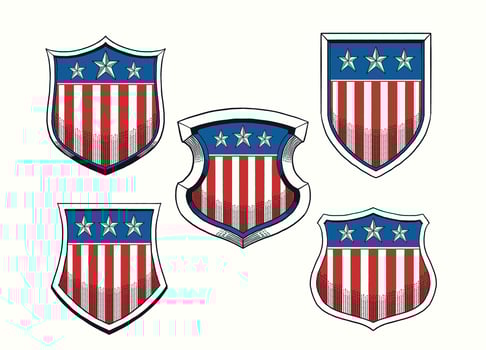Vintage Hand Drawn Illustration Set Of American Shield vector