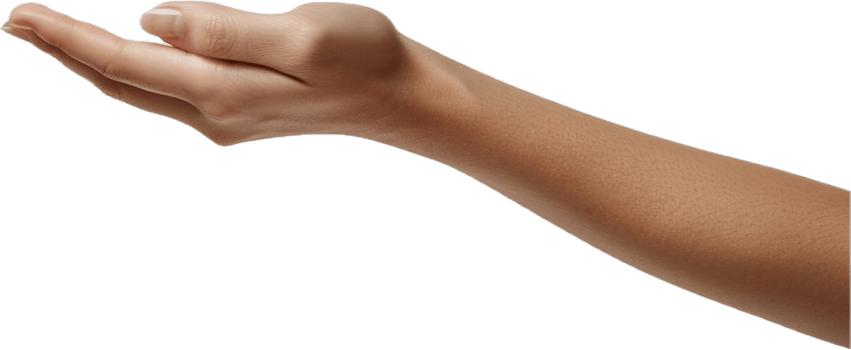 Outstretched hand palm up. png