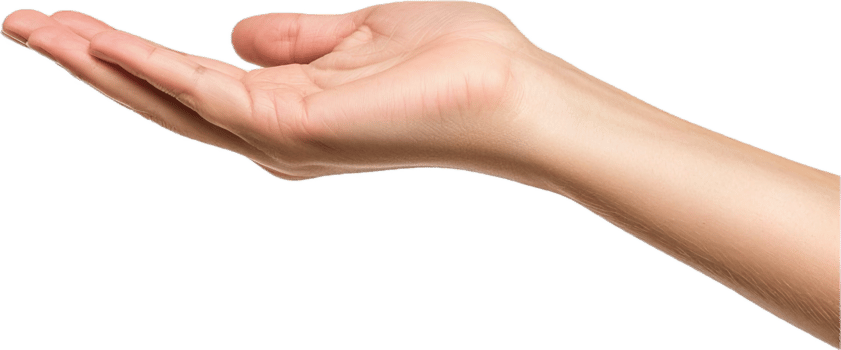 Outstretched hand palm up. png