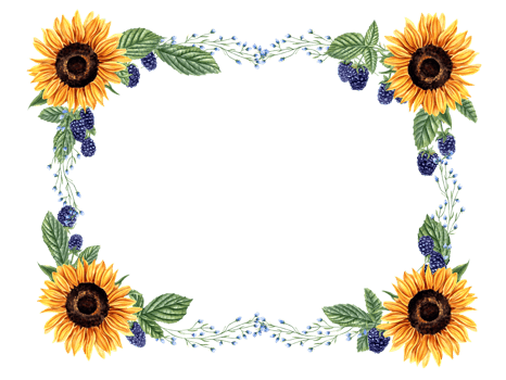 Sunflowers, blackberry and herbs. Horizontal frame with wild meadow plants and berries. Blue, orange yellow flowers. Floral summer design. Empty space for text. Watercolor illustration for greeting png