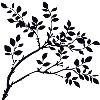 Transparent Cutout of Branches Silhouette png