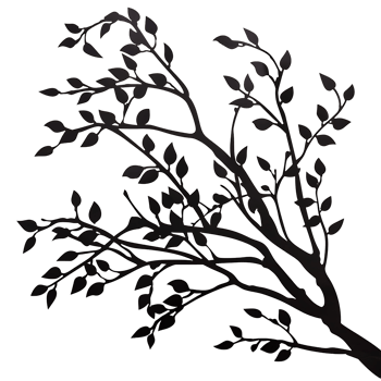 Detailed Branches Silhouette on a Clear Canvas png