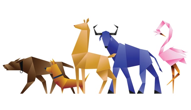 Color Origami birds and Animal set Background vector