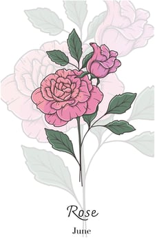 Rose Line Art. Rose flower Illustration. June Birth Month Flower. Rose outline isolated on white. Hand drawn line art botanical illustration. vector