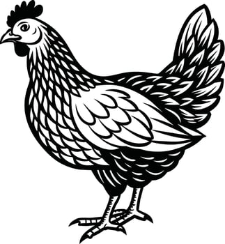 Intricately detailed line art of a chicken, ideal for use in print and digital media vector