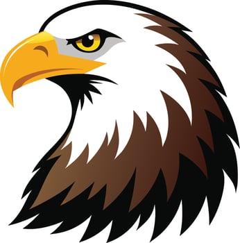 Eagle Head mascot vector