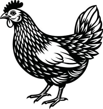 Chicken hen poultry bird farm animal sketch vector