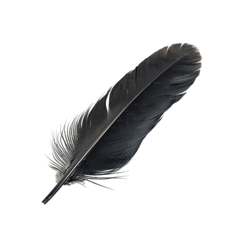 Black feather feather png