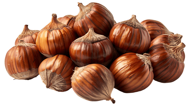 Organic chestnuts on a transparent background png