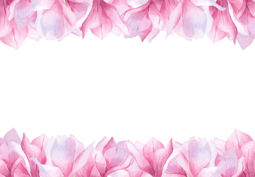 Watercolor banner with pink magnolia flowers for border poster postcard wrapping paper wallpaper decoration certificate design invitation Women's day 2025 Mother day Spring Floral background Template png