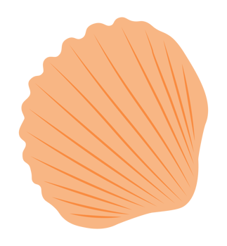 Orange Cerastoderma Edule Seashell png