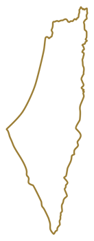 Palestine Map before 1948, Flat Style, can use for Art Illustration, News, Apps, Website, Pictogram, Banner, Poster, Cover, or Graphic Design Element png