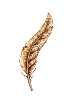 Bird feather brown variegated curved watercolor illustration. Natural soft duck down isolated from background. For the design of books, cards, calendars, stationery, dishes, clothing, social networks png