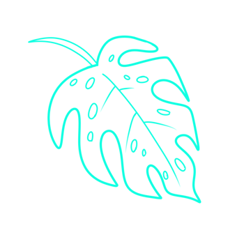 montera leaf line art png