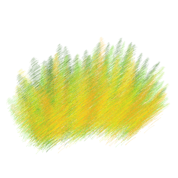 grass pencil sketch illustration png