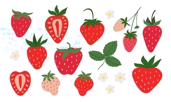 Hand drawn set of strawberries. Berries, flowers and leaves of strawberries. vector