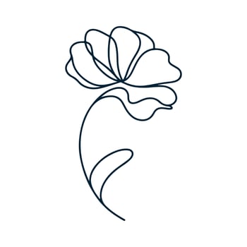 One Line Drawing of Flower, Botanical arts. Hand drawn continuous line drawing of abstract flower, floral, ginkgo, rose, tulip, bouquet of olives. illustration. vector