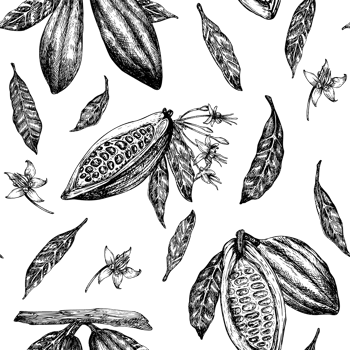 Seamless pattern with cocoa fruit graphic illustration, hand drawn sketch of vegetable, leaves, flowers. Botanical drawing of tropical fruit. Engraving for food packaging design png