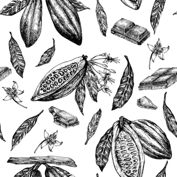Seamless pattern with cocoa fruit and chocolate graphic illustration, hand drawn sketch of vegetable, leaves, flowers. Botanical drawing of tropical fruit. Engraving for food packaging design png