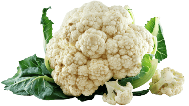 A narrow view of a whole fresh organic cauliflower on the transparent background, Format png