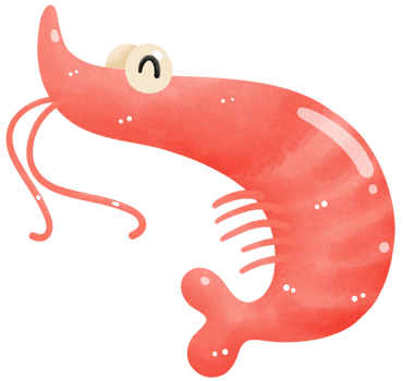 Shrimp cute animal png