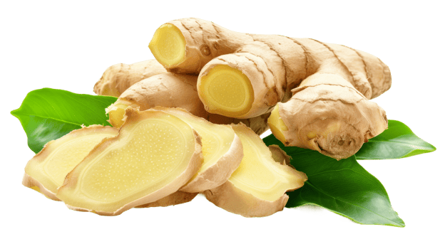 Ginger, ginger root slices and leaves on the transparent background, Format png