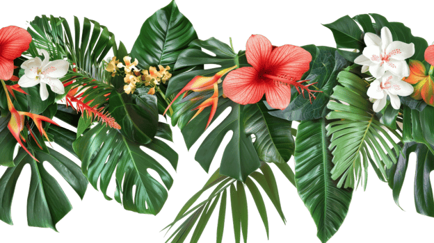 Tropical leaves and flowers arranged in a garland bouquet on the transparent background, Format png